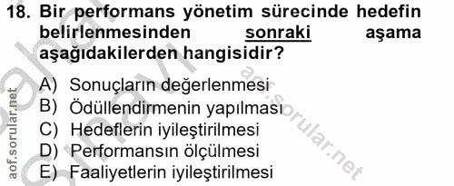 18. soru: Bir performans yönetim sürecinde hedefin belirlenmesinden sonraki aşama aşağıdakilerden hangisidir? A) Sonuçların değ…