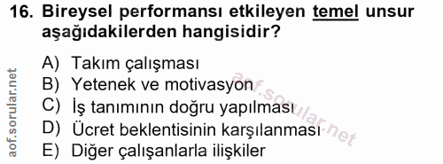 16. soru: Bireysel performansı etkileyen temel unsur aşağıdakilerden hangisidir? A) Takım çalışması B) Yetenek ve motivasyon/ C…
