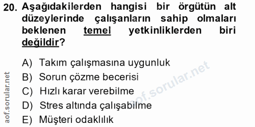 20. soru: Aşağıdakilerden hangisi bir örgütün alt düzeylerinde çalışanların sahip olmaları beklenen temel yetkinliklerden biri…