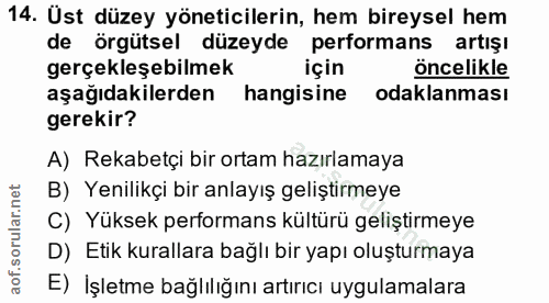 14. soru: Üst düzey yöneticilerin, hem bireysel hem de örgütsel düzeyde performans artışı gerçekleşebilmek için oncelikle aşağı…