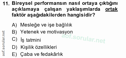 11. soru: Bireysel performansın nasıl ortaya çıktığını açıklamaya çalışan yaklaşımlarda ortak faktör aşağıdakilerden hangisidir…