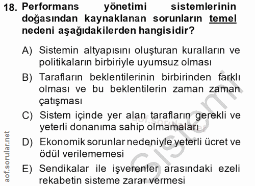18. soru: Performans yönetimi sistemlerinin doğasından kaynaklanan sorunların temel nedeni aşağıdakilerden hangisidir? A) Siste…