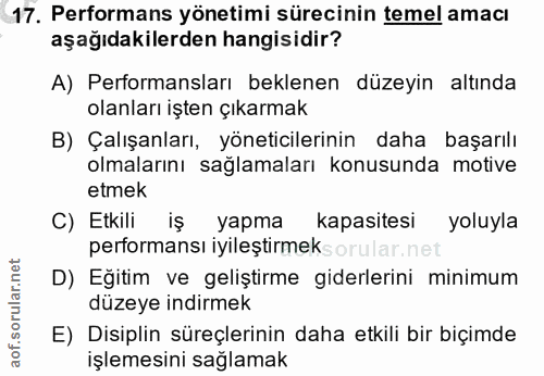 17. soru: Performans yönetimi sürecinin temel amacı aşağıdakilerden hangisidir? A) Performansları beklenen düzeyin altında olan…