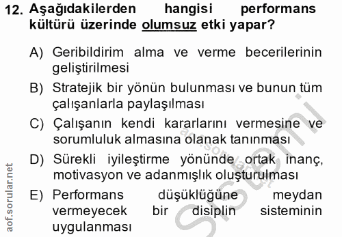 12. soru: Aşağıdakilerden hangisi performans kültürü üzerinde olumsuz etki yapar? A) Geribildirim alma ve verme becerilerinin g…