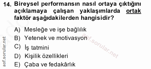 14. soru: Bireysel performansın nasıl ortaya çıktığını açıklamaya çalışan yaklaşımlarda ortak faktör aşağıdakilerden hangisidir…