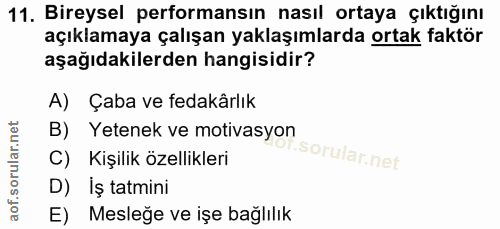 11. soru: Bireysel performansın nasıl ortaya çıktığını açıklamaya çalışan yaklaşımlarda ortak faktör aşağıdakilerden hangisidir…