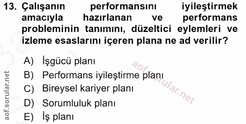 13. soru: Çalışanın performansını iyileştirmek amacıyla hazırlanan ve performans probleminin tanımını, düzeltici eylemleri ve i…