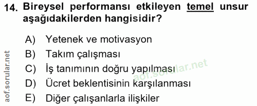 14. soru: Bireysel performansı etkileyen temel unsur aşağıdakilerden hangisidir? A) Yetenek ve motivasyon B) Takım çalışması c)…