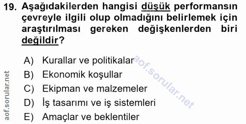 19. soru: Aşağıdakilerden hangisi düşük performansın çevreyle ilgili olup olmadığını belirlemek için araştırılması gereken deği…