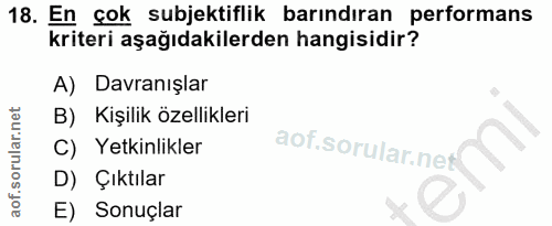 18. soru: En çok subjektiflik barındıran performans kriteri aşağıdakilerden hangisidir? A) Davranışlar B) Kişilik özellikleri C…