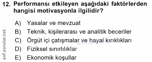 12. soru: Performansı etkileyen aşağıdaki faktörlerden hangisi motivasyonla ilgilidir? A) Yasalar ve mevzuat B) Teknik, kişiler…