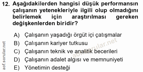 12. soru: Aşağıdakilerden hangisi düşük performansın çalışanın yetenekleriyle ilgili olup olmadığını belirlemek için araştırılm…