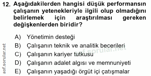 12. soru: Aşağıdakilerden hangisi düşük performansın çalışanın yetenekleriyle ilgili olup olmadığını belirlemek için araştırılm…