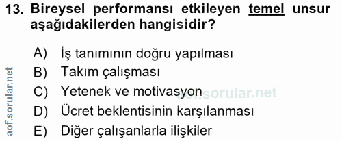 13. soru: Bireysel performansı etkileyen temel unsur aşağıdakilerden hangisidir? A) İş tanımının doğru yapılması B) Takım çalış…