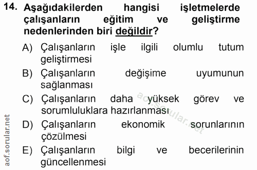 14. soru: Aşağıdakilerden hangisi işletmelerde çalışanların eğitim ve geliştirme nedenlerinden biri değildir? A) Çalışanların i…