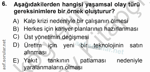 6. soru: Aşağıdakilerden hangisi yaşamsal olay türü gereksinimlere bir örnek oluşturur? A) Kalp krizi nedeniyle bir çalışanın…