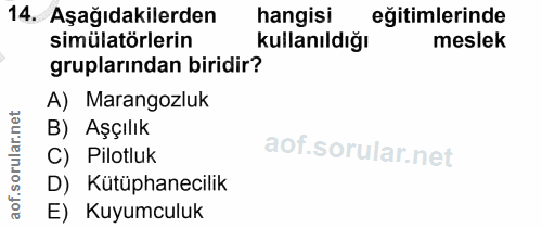 14. soru: Aşağıdakilerden hangisi eğitimlerinde simülatörlerin kullanıldığı meslek gruplarından biridir? A) Marangozluk rular.n…