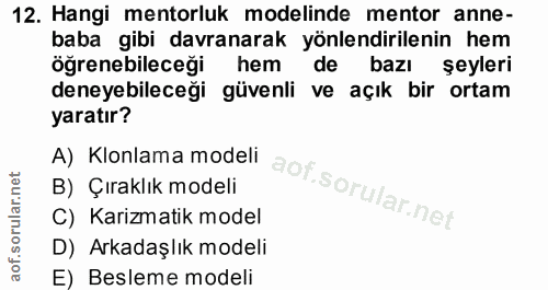 12. soru: Hangi mentorluk modelinde mentor anne- baba gibi davranarak yönlendirilenin hem öğrenebileceği hem de bazı şeyleri de…