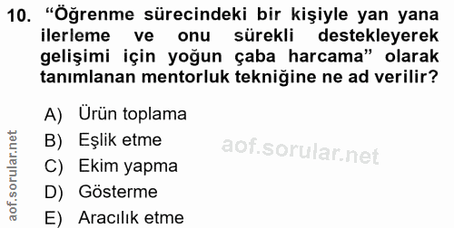 10. soru: "Öğrenme sürecindeki bir kişiyle yan yana ilerleme ve onu sürekli destekleyerek gelişimi için yoğun çaba harcama" ola…