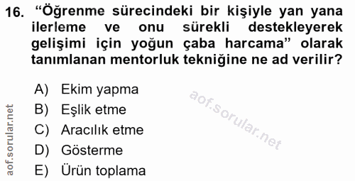 16. soru: "Öğrenme sürecindeki bir kişiyle yan yana ilerleme ve onu sürekli destekleyerek gelişimi için yoğun çaba harcama" ola…