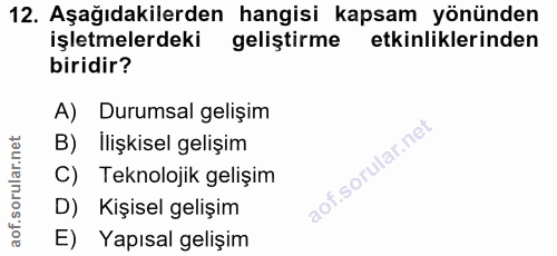 12. soru: Aşağıdakilerden hangisi kapsam yönünden işletmelerdeki geliştirme etkinliklerinden biridir? A) Durumsal gelişim B) İl…