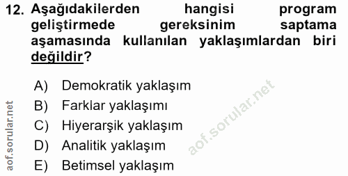 12. soru: Aşağıdakilerden hangisi program geliştirmede gereksinim saptama aşamasında kullanılan yaklaşımlardan biri değildir? A…