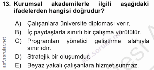 13. soru: Kurumsal akademilerle ilgili aşağıdaki ifadelerden hangisi doğrudur? A) Çalışanlara üniversite diploması verir. B) Iç…