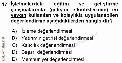 17. soru: İşletmelerdeki eğitim ve geliştirme çalışmalarında (gelişim etkinliklerinde) en yaygın kullanılan ve kolaylıkla uygul…