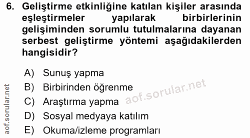 6. soru: Geliştirme etkinliğine katılan kişiler arasında eşleştirmeler yapılarak birbirlerinin gelişiminden sorumlu tutulmalar…