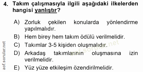4. soru: Takım çalışmasıyla ilgili aşağıdaki ilkelerden hangisi yanlıştır? A) Zorluk çekilen konularda yönlendirme yapılmalıdı…