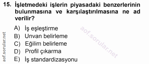 15. soru: İşletmedeki işlerin piyasadaki benzerlerinin bulunmasına ve karşılaştırılmasına ne ad verilir? A) İş eşleştirme "0, B…