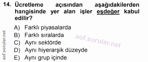 14. soru: Ücretleme açısından aşağıdakilerden hangisinde yer alan işler eşdeğer kabul edilir? A) Farklı piyasalarda B) Farklı s…