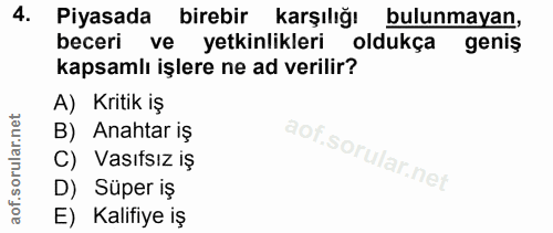 4. soru: Piyasada birebir karşılığı bulunmayan, beceri ve yetkinlikleri oldukça geniş kapsamlı işlere ne ad verilir? A) Kritik…