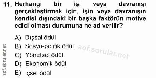 11. soru: Herhangi bir işi veya davranışı gerçekleştirmek için, işin veya davranışın kendisi dışındaki bir başka faktörün motiv…