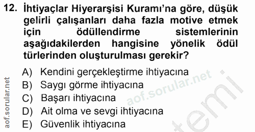 12. soru: İhtiyaçlar Hiyerarşisi Kuramı'na göre, düşük gelirli çalışanları daha fazla motive etmek için ödüllendirme sistemleri…