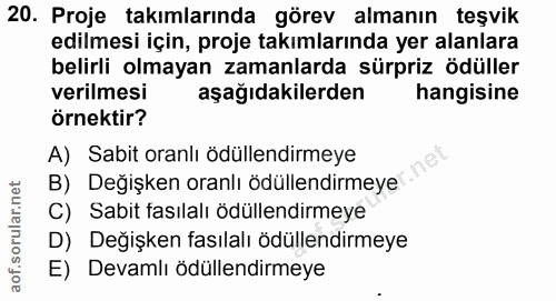 20. soru: Proje takımlarında görev almanın teşvik edilmesi için, proje takımlarında yer alanlara belirli olmayan zamanlarda sür…