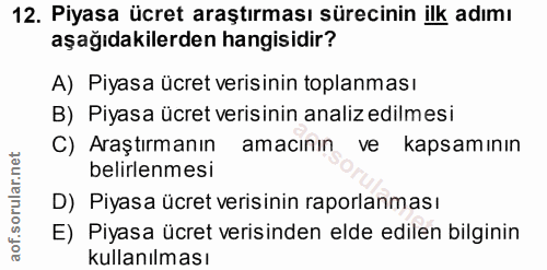 12. soru: Piyasa ücret araştırması sürecinin ilk adımı aşağıdakilerden hangisidir? A) Piyasa ücret verisinin toplanması B) Piya…