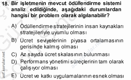 18. soru: Bir işletmenin mevcut ödüllendirme sistemi analiz edildiğinde, aşağıdaki durumlardan hangisi bir problem olarak algıl…
