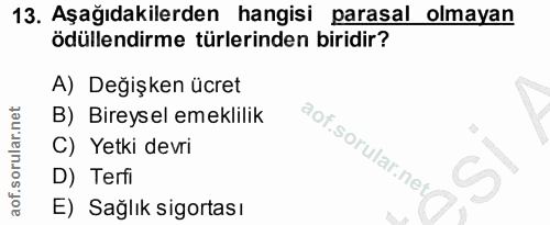 13. soru: Aşağıdakilerden hangisi parasal olmayan ödüllendirme türlerinden biridir? A) Değişken ücret B) Bireysel emeklilik C)…