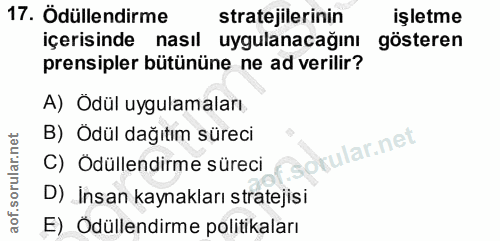 17. soru: Ödüllendirme stratejilerinin işletme içerisinde nasıl uygulanacağını gösteren prensipler bütününe ne ad verilir? A) O…