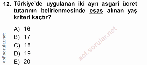 12. soru: Türkiye'de uygulanan iki ayrı asgari ücret tutarının belirlenmesinde esas alınan yaş kriteri kaçtır? A) 16 B) 17 C) 1…