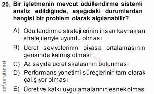 20. soru: Bir işletmenin mevcut ödüllendirme sistemi analiz edildiğinde, aşağıdaki durumlardan hangisi bir problem olarak algıl…