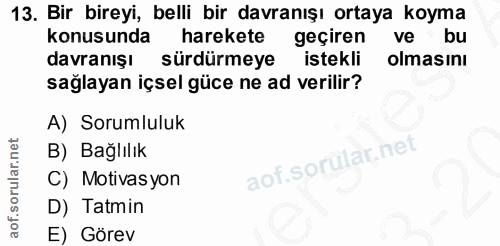13. soru: Bir bireyi, belli bir davranışı ortaya koyma konusunda harekete geçiren ve bu davranışı sürdürmeye istekli olmasını s…