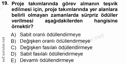 19. soru: Proje takımlarında görev almanın teşvik edilmesi için, proje takımlarında yer alanlara belirli olmayan zamanlarda sür…