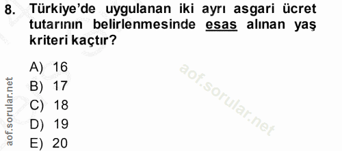 8. soru: Türkiye'de uygulanan iki ayrı asgari ücret tutarının belirlenmesinde esas alınan yaş kriteri kaçtır? A) 16 B) 17 C) 1…
