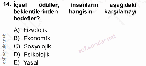 14. soru: İçsel ödüller, insanların aşağıdaki beklentilerinden hangisini karşılamayı hedefler? A) Fizyolojik B) Ekonomik C) Sos…