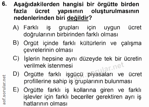 6. soru: Aşağıdakilerden hangisi bir örgütte birden fazla ücret yapısının oluşturulmasının nedenlerinden biri değildir? A) Far…
