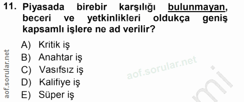 11. soru: Piyasada birebir karşılığı bulunmayan, beceri ve yetkinlikleri oldukça geniş kapsamlı işlere ne ad verilir? A) Kritik…