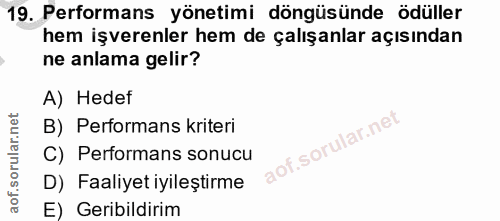19. soru: Performans yönetimi döngüsünde ödüller hem işverenler hem de çalışanlar açısından ne anlama gelir? A) Hedef B) Perfor…