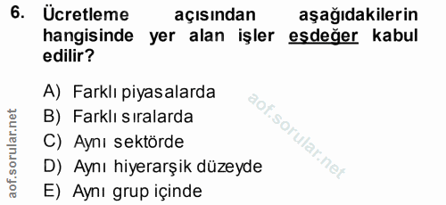 6. soru: Ücretleme açısından aşağıdakilerin hangisinde yer alan işler esdeğer kabul edilir? A) Farklı piyasalarda B) Farklı sı…